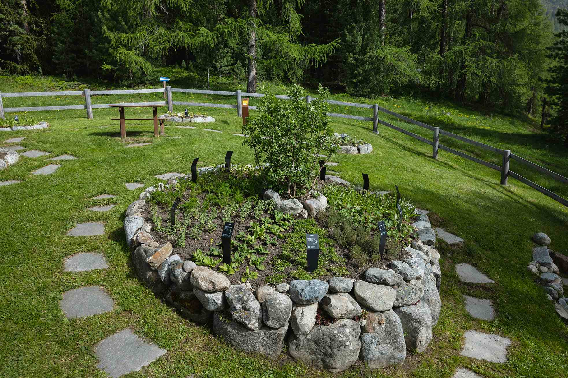 Herb Garden Pontresina
